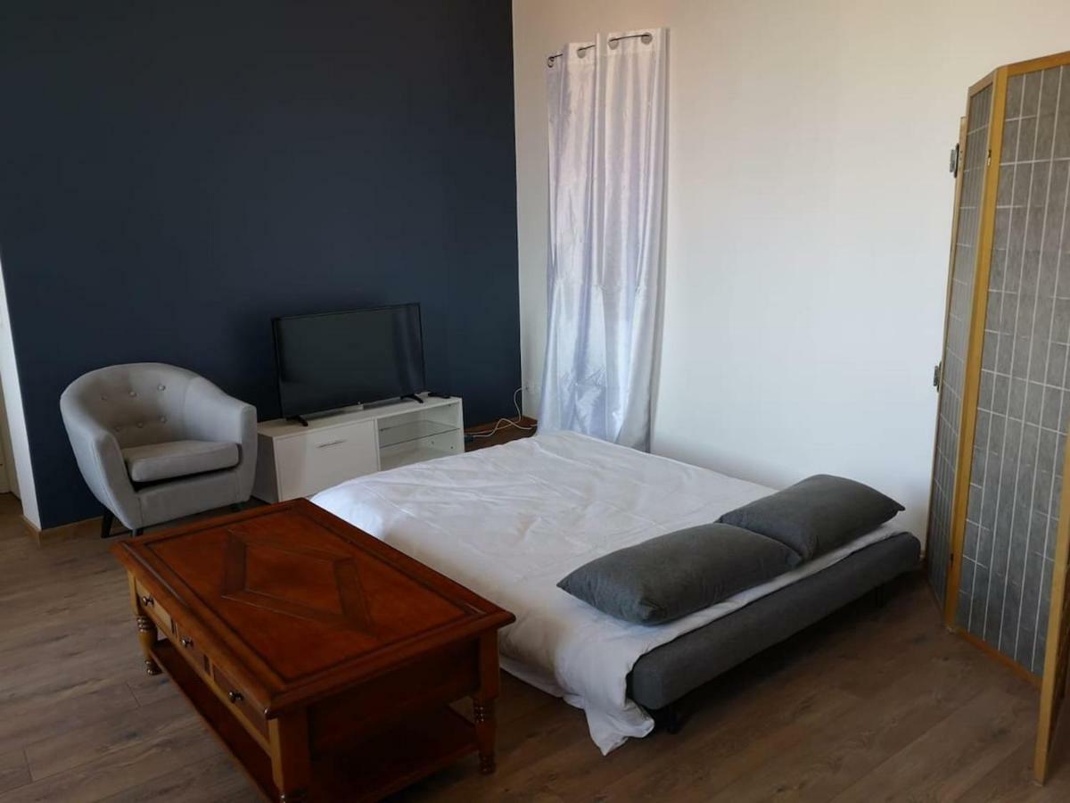 Appartement Spacieux Et Confortable La Roche-de-Glun Екстер'єр фото